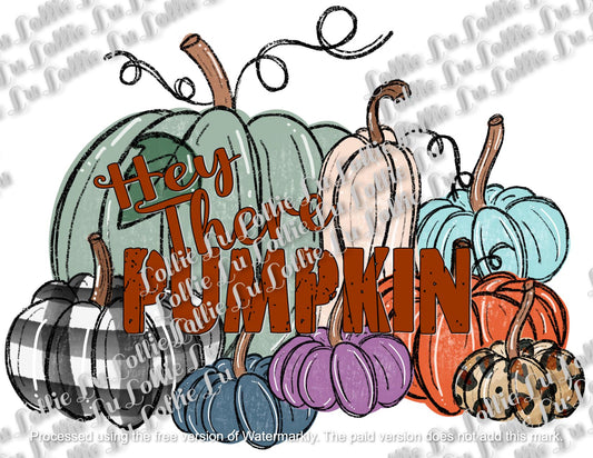 Hey There Pumpkin Digital File; png; dtf; sublimation; custom print; shirt; sweatshirt; fall; autumn; Thanksgiving; Holidays; family